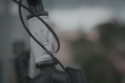 Czar Freetrials headtube logo