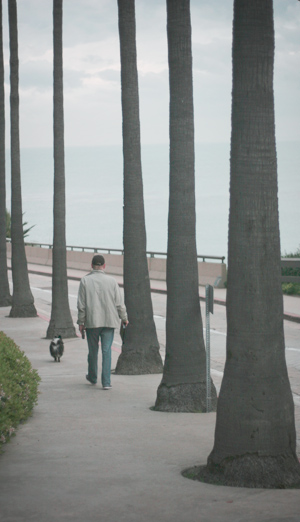 Carbon saddle on a trials bike